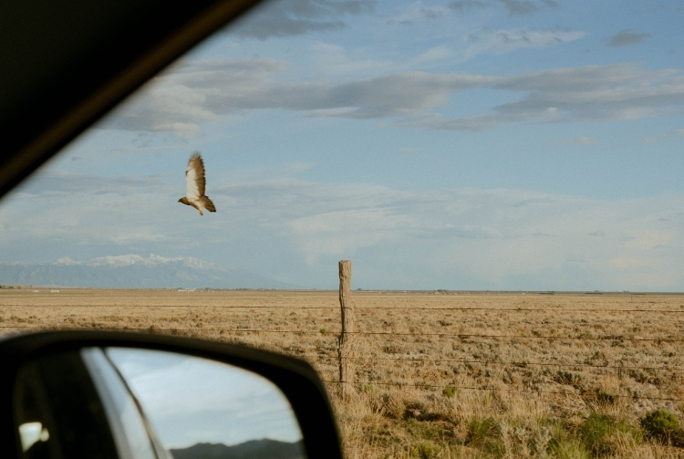 Southwest Colorado