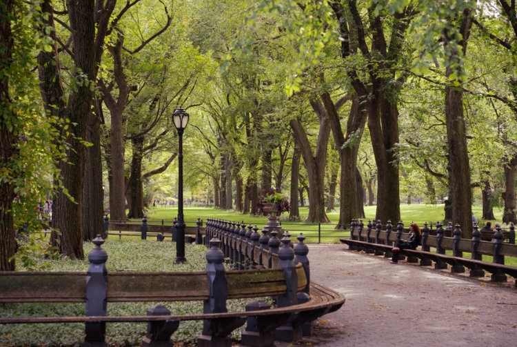 Central Park, New York